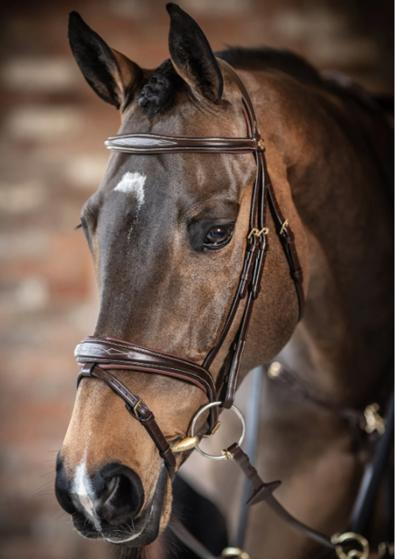 LeMieux Competition Flash Bridle Havana-1